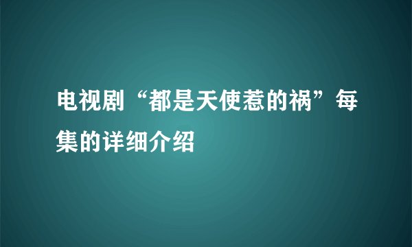 电视剧“都是天使惹的祸”每集的详细介绍