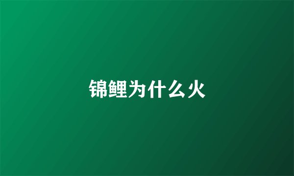 锦鲤为什么火