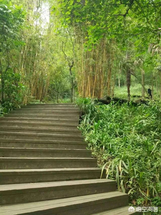 都江堰青城山周边一日游，该怎么安排？