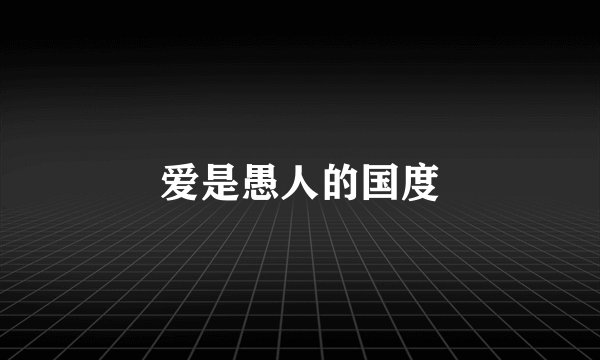 爱是愚人的国度