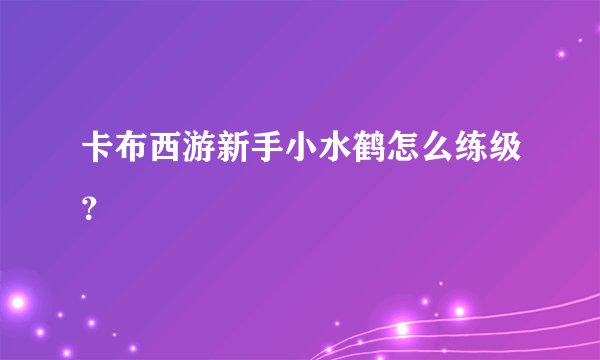 卡布西游新手小水鹤怎么练级？