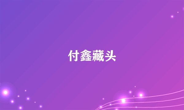 付鑫藏头