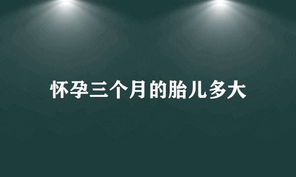 怀孕三个月的胎儿多大