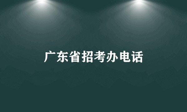 广东省招考办电话