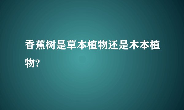 香蕉树是草本植物还是木本植物?