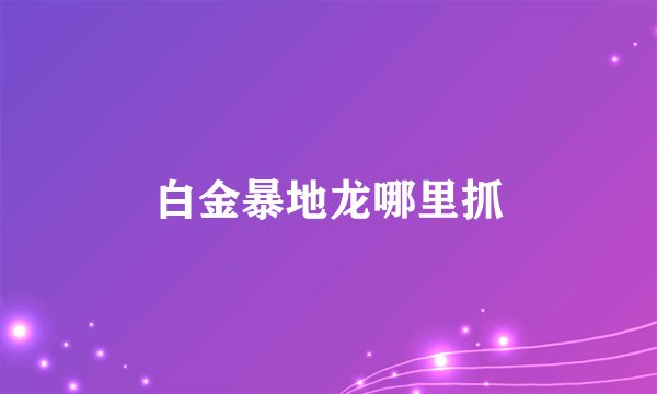 白金暴地龙哪里抓