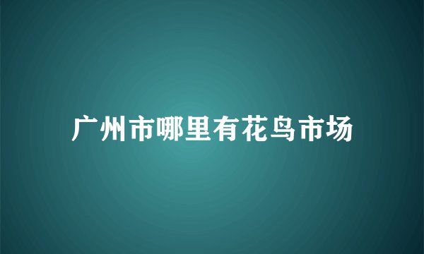 广州市哪里有花鸟市场