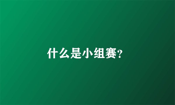 什么是小组赛？