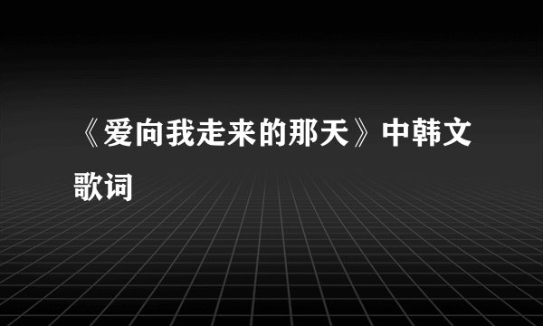 《爱向我走来的那天》中韩文歌词