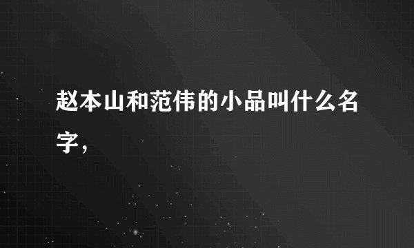赵本山和范伟的小品叫什么名字，