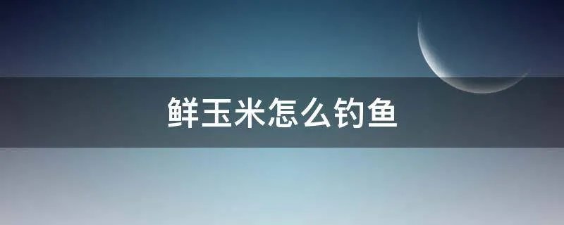 鲜玉米怎么钓鱼