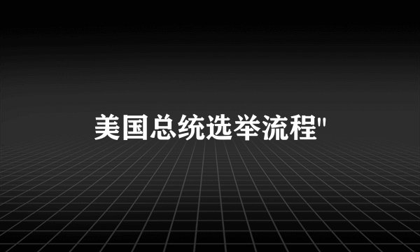 美国总统选举流程