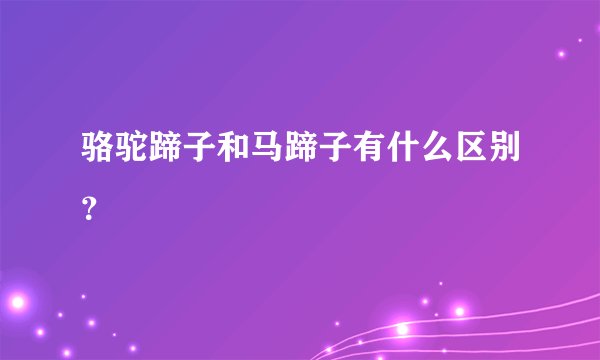 骆驼蹄子和马蹄子有什么区别？