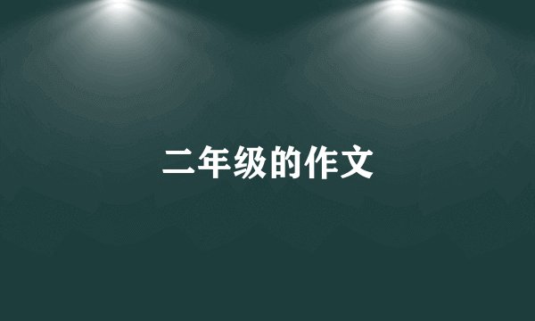 二年级的作文