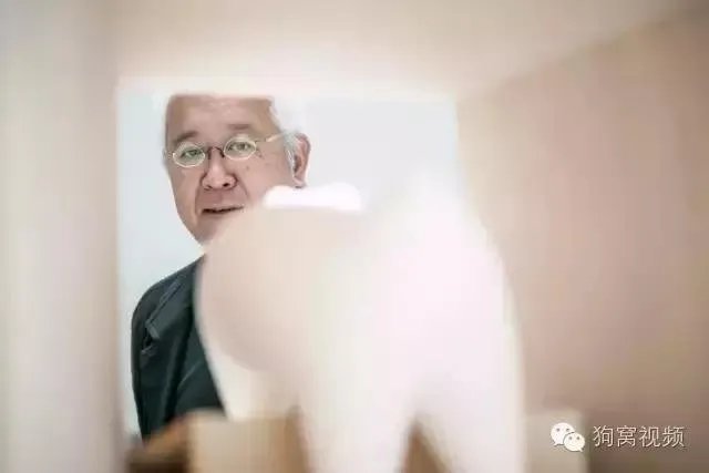 隈研吾、原研哉等设计大师,每人给狗狗做了一个家!