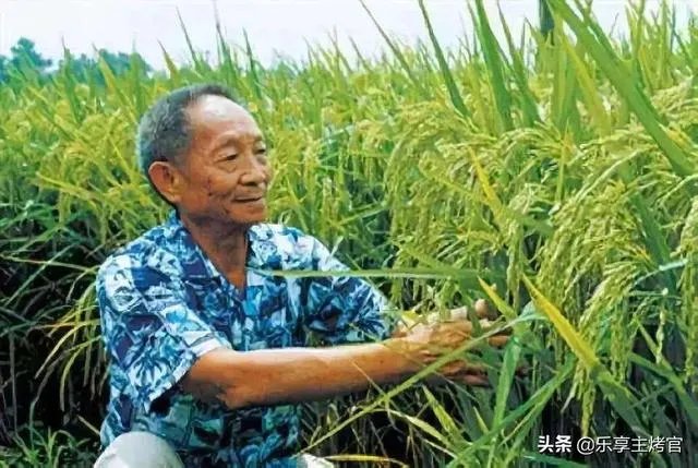 9月7日是袁隆平90岁生日，你想对他说一句什么话呢？