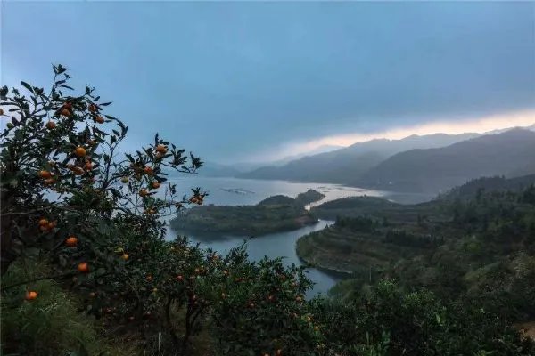 湖南最大水库十大排名 湖南哪个水库容量最大最惊人