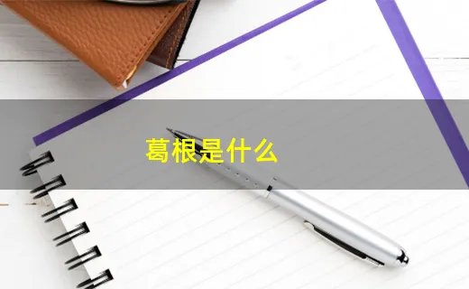 葛根是什么