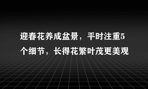 迎春花养成盆景，平时注重5个细节，长得花繁叶茂更美观