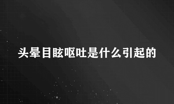 头晕目眩呕吐是什么引起的