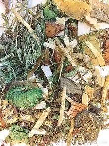 乌头草有哪些疗效和功能?
