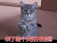 俄罗斯、乌克兰为什么会爆发军事冲突？双方紧张局势是否会进一步升级？