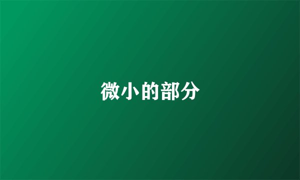 微小的部分