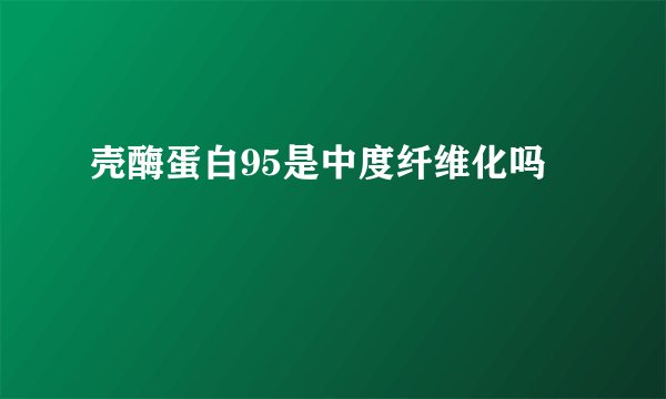 壳酶蛋白95是中度纤维化吗