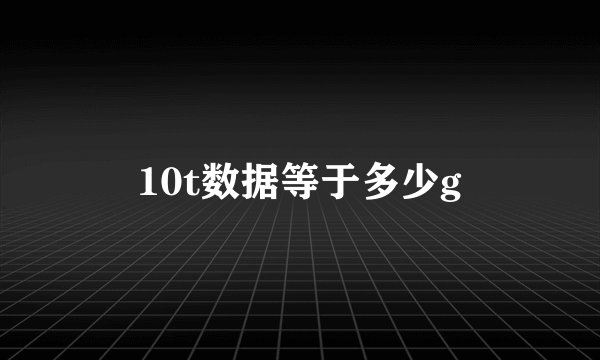 10t数据等于多少g