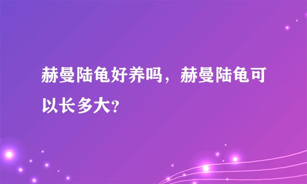 赫曼陆龟好养吗，赫曼陆龟可以长多大？