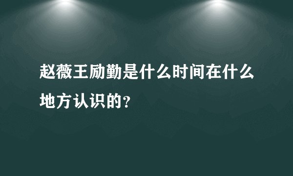 赵薇王励勤是什么时间在什么地方认识的？