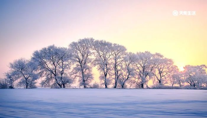 雪的句子短句唯美