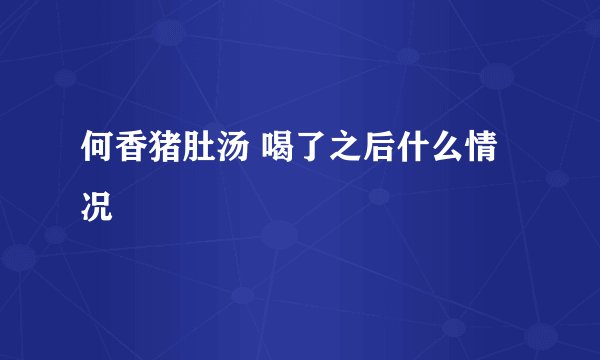 何香猪肚汤 喝了之后什么情况
