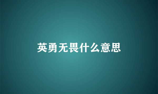 英勇无畏什么意思