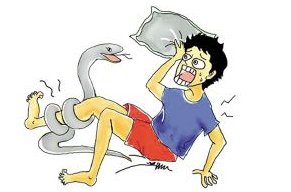 单元门口盘着一条大王锦蛇,这种蛇会咬人吗?