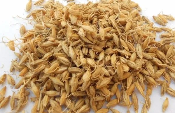 啤酒生产的工艺流程是什么?