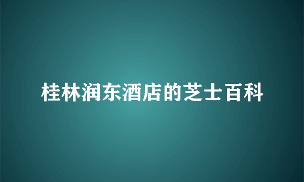 桂林润东酒店的芝士百科