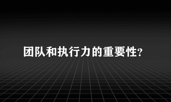 团队和执行力的重要性？