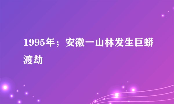 1995年；安徽一山林发生巨蟒渡劫
