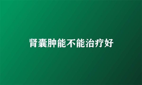 肾囊肿能不能治疗好