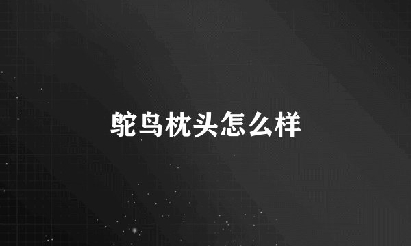 鸵鸟枕头怎么样