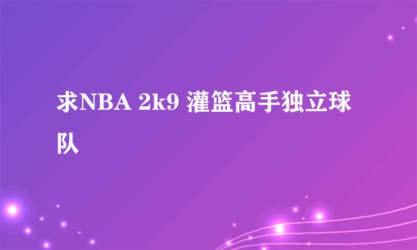 求NBA 2k9 灌篮高手独立球队