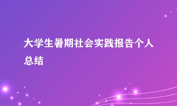 大学生暑期社会实践报告个人总结