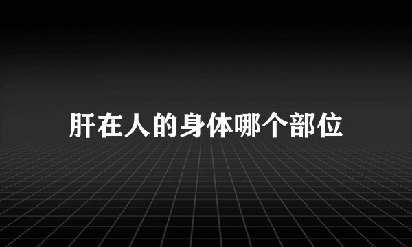 肝在人的身体哪个部位