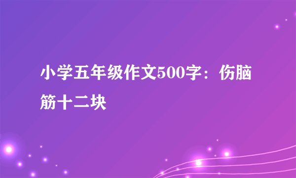 小学五年级作文500字：伤脑筋十二块