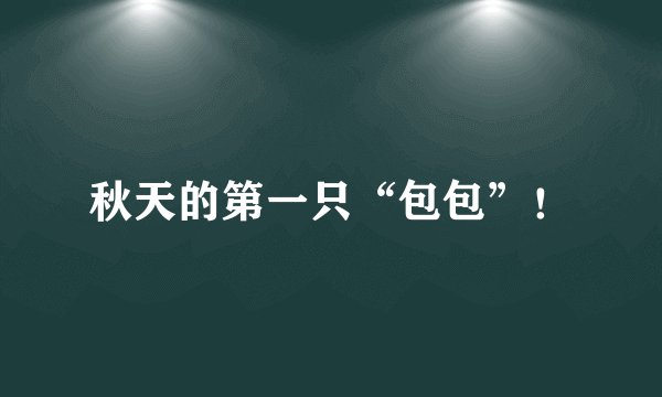 秋天的第一只“包包”！