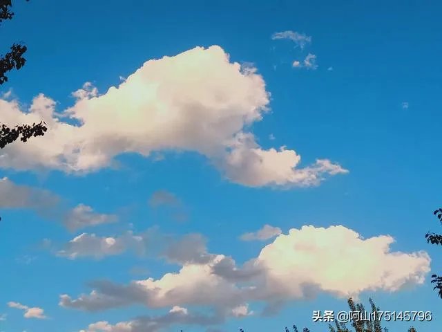 哪位专家做的股票分析比较可靠?