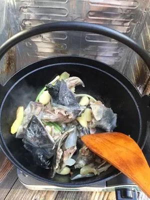 甲鱼怎么做好吃?