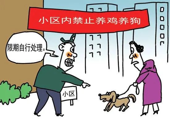 小区养狗物业如何处理