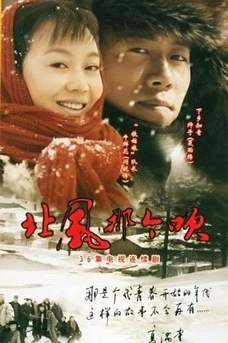 《北风那个吹》是一部什么样的电视剧？